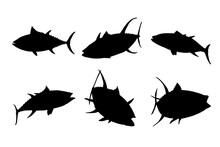 Set Of Silhouettes Of Tuna Fish Vector Design