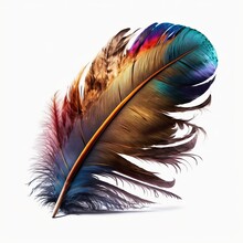 Colorful Feather On White Background. Generative AI.