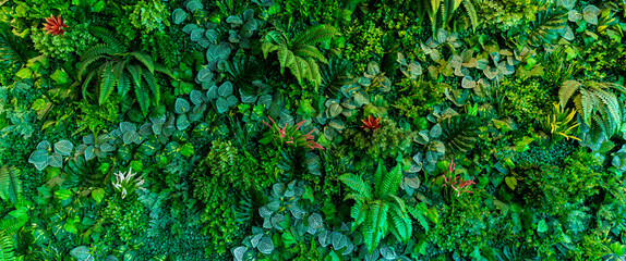 herb wall, plant wall, natural green wallpaper and background. nature wall. nature background of gre