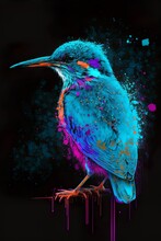 Painted Animal With Paint Splash Painting Technique On Colorful Background Kingfisher