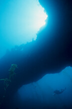 A SCUBA Diver Swims Beneath And Underwater Arch In The Channel Islands National Park, California.