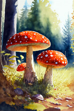Toadstool Mushrooms In A Forest, Digital Watercolor Illustration