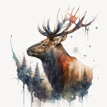 Watercolor Painting Of A Bull Elk In The Forest