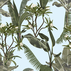 Wall Mural - Tropical vintage  palm, monstera, plant, plumeria flowers floral seamless border, blue background. Exotic vintage jungle wallpaper.