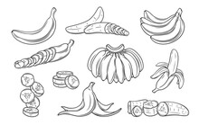 Banana Line Icons Set Vector Illustration. Hand Drawn Outline One And Variety Group Of Tropical Fruit With Peel, Bunch On Branch, Whole Banana And Cut Into Pieces And Slices, Slippery Trash Skin