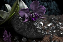  A Purple Flower Sitting On Top Of A Rock Next To A Plant And Rocks On The Ground With Gravel And Rocks Around It And A Dark Background Of Blue Sky With White And Gray Leaves., Generative Ai
