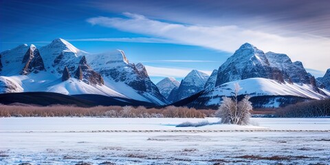 Wall Mural - A snow covered plain with snowy mountains in the background. 