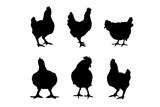 Fototapeta Fototapety na ścianę do pokoju dziecięcego - Set of silhouettes of Broiler Roast chicken vector design