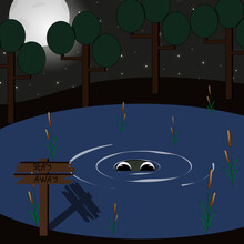 A Night Landscape With The Eyes Of A Wild Animal In A Lake, Reeds, Trees, A Sign Saying Stay Away, Stars And The Moon. Alien World. 