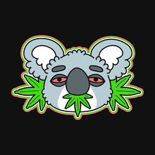 Funny Koala Bear Eat Marijuana Leaf. Vector Doodle Cartoon Style Character Illustration Logo Icon. Isolated On White Background. Koala,weed,cannabis Print For T-shirt,sticker,logo,poster