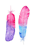 Set of watercolors pink feathers, on white background. Hand painted illustrations.