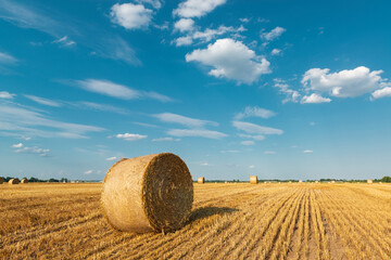 Wall Mural - Hay bales on the cutten farm field.