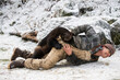 © Cavan Images - Wolverine (Gulo gulo) attacking a man in snow, Haines, Alaska, USA
