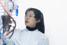 Young Female Scientist Examining Test Tube In A Laboratory, Freiburg Im Breisgau, Baden-Württemberg, Germany
