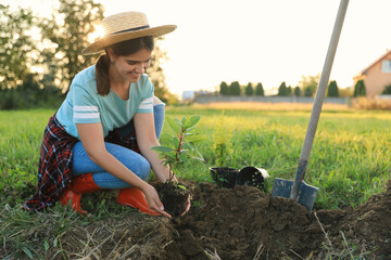 Canvas Print - Happy young woman planting tree in countryside