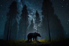 Nighttime Bear Sighting In The Woods Generative AI