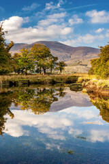 Canvas Print - Muckross Lake in Killarney National Park, County Kerry, Ireland