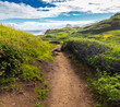 © Billy McDonald - The Ohai Trail on The Maui Shoreline, Maui, Hawaii, USA