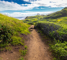 The Ohai Trail On The Maui Shoreline, Maui, Hawaii, USA