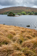 Wall Mural - Grassy shores of Killary fjord in Ireland