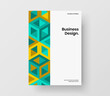 © pro - Creative company cover A4 vector design illustration. Clean geometric shapes brochure template.