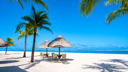 Tropical beach with palm trees and white sand blue ocean and beach beds with umbrellas, sun chairs, and parasols under a palm tree at a tropical beach. Mauritius Le Morne beach