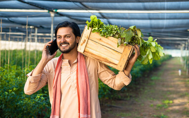 Wall Mural - tracking shot happy farmer talking on mobile phone while carrying basket of vegetables at greenhouse - concept of small agribusiness, village lifestyle and communication