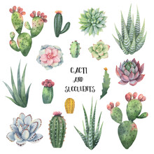 Watercolor Hand Painted Set Of Cacti And Succulent Plants..Perfect For Wedding Invitation, Scrapbooking, Mother Day Card Decoration, Greeting Cards, Textiles.