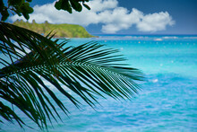 Vue Paradisiaque En Guadeloupe