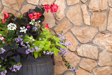 Fotomurales - Colorful potted flowers are in front of stone wall