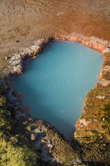 Wall Mural - Hot spring in Yellowstone