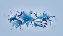Lovely Blue Floral Composing With Flying Lilies Flowers And Falling Petals, Border