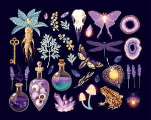 Big vector set of various magic supplies