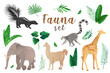 Fauna in cartoon style set isolated elements. Bundle of exotic animals like skunk, elephant, llama, alpaca, giraffe, ring tailed lemur with green palms leaves. Illustration in flat design
