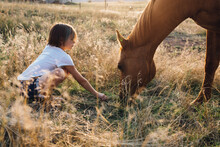 Side View Of Girl Feeding Horse With Grass While Crouching On Field