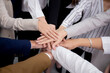 © NT_studio - Group of business team harmonious with man and woman joining hands stack together in enterprise for victory and success, teamwork of partnership with meeting and cheering for achievement.