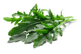 Fototapeta  - Fresh arugula (Eruca vesicaria) leafy salad isolated png