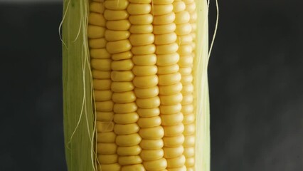 Poster - Fresh raw corn close up rotating on a dark background