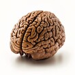 Walnut looks like human brain. Walnut shape isolated on white background. Concept for creativity. Generative AI.