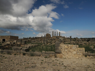 Wall Mural - Volubilis Roman ruins in Morocco- Best-preserved Roman ruins located between the Imperial Cities of Fez and Meknes