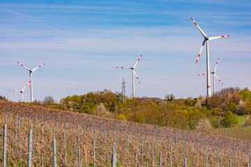 Wall Mural - Many wind turbines disfigure the landscape with vines in rural Rhineland, Germany