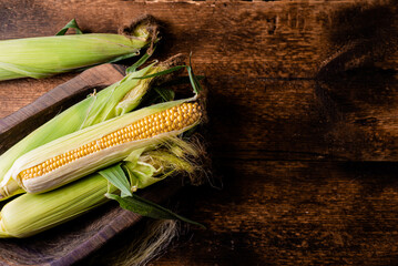Poster - Fresh raw corn cobs on a dark wooden background. Healthy food, vegetarianism concept. Place to insert text.