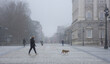 Morning view of unrecognizable people walking with a dog in a foggy street