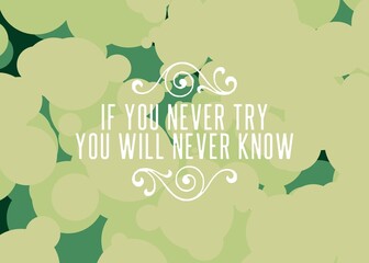 If You Never Try You Will Never Know Inspiration and motivation quotes