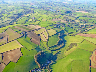 Poster - 	
Aerial view of fields in Devon	