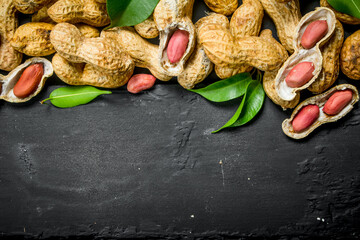 Sticker - Peanuts with green leaves .