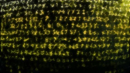 Wall Mural - abstract network connection background. motion. narrow neon lines and blurred symbols on a black bac