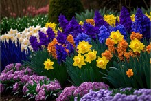  A Garden Filled With Lots Of Different Colored Flowers Next To Each Other On A Field Of Grass And Flowers In The Background Are Purple, Yellow, Orange, White, And Purple, And Red. Generative AI 