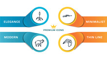 Animals Outline Icons With Infographic Template. Thin Line Icons Such As Cattail, Safari, Rifle, Hornbill Vector.