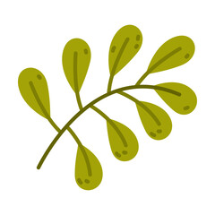 Wall Mural - Floral Twig with Green Leaves as Cute Foliage Vector Illustration